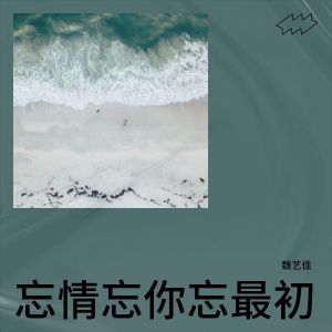 Album 忘情忘你忘最初 from 魏艺佳