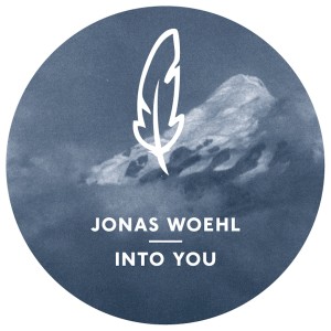 ดาวน์โหลดและฟังเพลง Into You (Konstantin Sibold Disco Mix) พร้อมเนื้อเพลงจาก Jonas Woehl