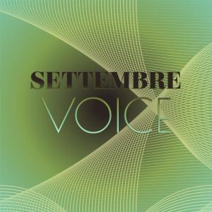 Listen to Awake Wide song with lyrics from Jermie Mirell