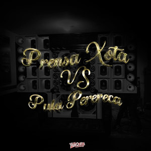 收聽Panquecabeats的Prensa Xota Vs. Pula Perereca歌詞歌曲