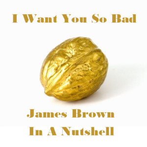 收聽James Brown and The Famous Flames的Think歌詞歌曲