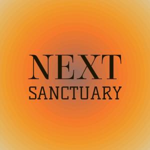 Various Artists的專輯Next Sanctuary