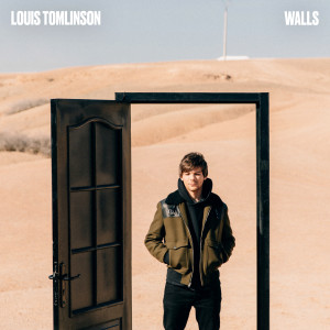 收聽Louis Tomlinson的Walls歌詞歌曲