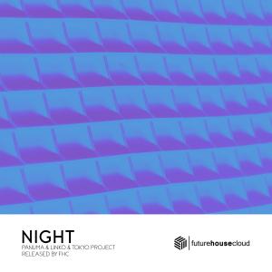 Panuma的專輯Night