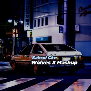 ดาวน์โหลดและฟังเพลง Wolves X Mashup (Remix) พร้อมเนื้อเพลงจาก Sahrul Ckn