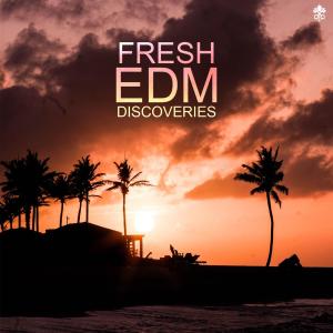 Album Fresh EDM Discoveries from Various