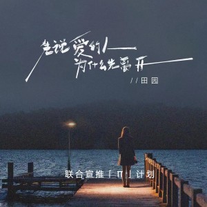 收聽田園的先說愛的人爲甚麼先離開 (DJ京仔版)歌詞歌曲