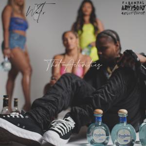Listen to Thot Activities (Explicit) song with lyrics from Watr
