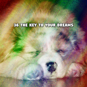 Album 36 The Key To Your Dreams oleh White Noise