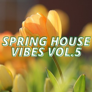 Listen to Lost Town (V6's Deep Vocal Mix) song with lyrics from Markus Monson