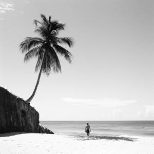 Carlos Mendes的專輯Bossa Beats by the Bay