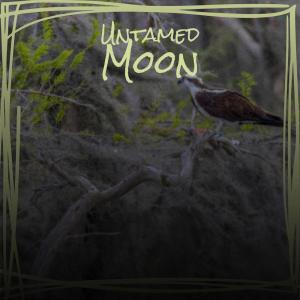 ดาวน์โหลดและฟังเพลง Ensnared พร้อมเนื้อเพลงจาก Mariem Winkie