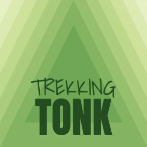 Various Artists的专辑Trekking Tonk