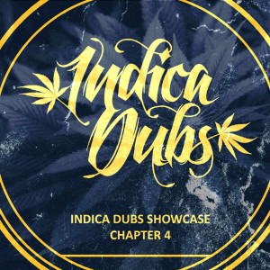 Listen to Warning song with lyrics from Indica Dubs