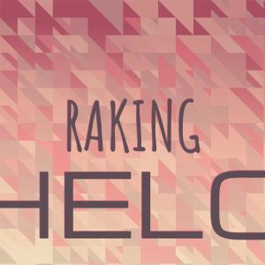 Various Artists的專輯Raking Helo