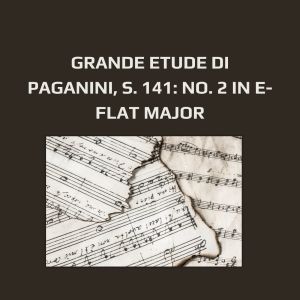 Emanuele Dori的专辑Grande Etude di Paganini, S. 141: No. 2 in E-Flat Major (Harp Version by Emanuele Dori)