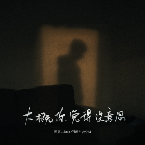 Listen to 大概你觉得没意思 song with lyrics from 黑豆ado