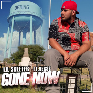 收聽Lil Skeeter的Gone Now歌詞歌曲