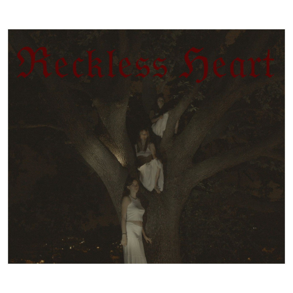 Reckless Heart (Explicit)
