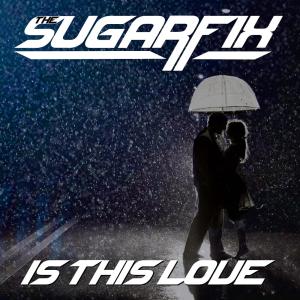 ดาวน์โหลดและฟังเพลง Is This Love (feat. Jase Old & The Darren Phillips Project) พร้อมเนื้อเพลงจาก The Sugarfix