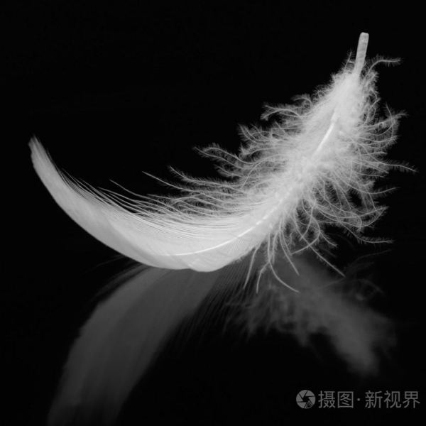 紫竹悠悠