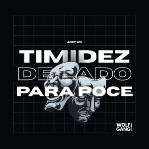 Album Timidez De Lado Para Poce from Adry WG