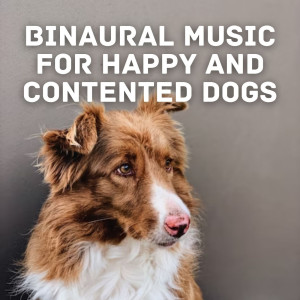Dog Sleep Academy的专辑Binaural Music for Happy and Contented Dogs