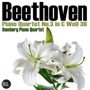ดาวน์โหลดและฟังเพลง Piano Quartet No.3 in C , WoO 36: III. Rondo: Allegro พร้อมเนื้อเพลงจาก Bamberg Piano Quartet