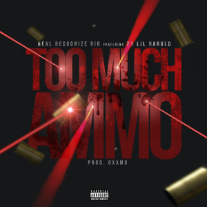 Album Too Much Ammo (Explicit) from Real Recognize Rio