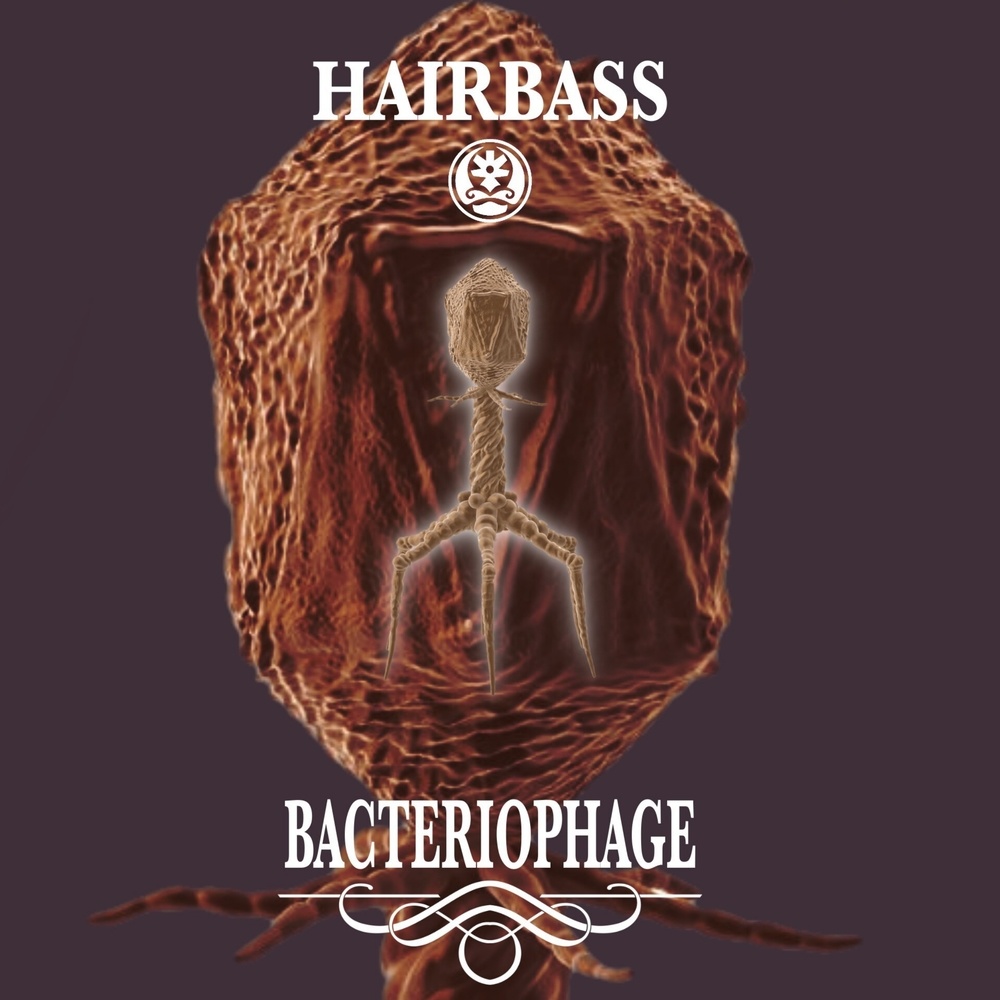 Bacteriophage