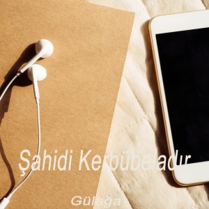 Listen to Şahidi Kerbübeladır song with lyrics from Gülağa