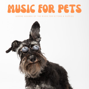 Baby Relax Channel的專輯Music For Pets: Serene Sounds Of The River For Kittens & Puppies