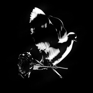 Dengarkan lagu Backseat nyanyian Pop Smoke dengan lirik