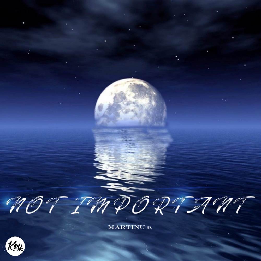NOT IMPORTANT