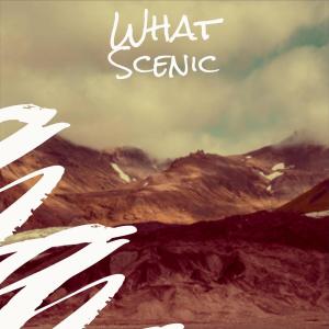 Album What Scenic from Various