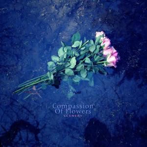 Listen to Compassion Of Flowers song with lyrics from 풍경