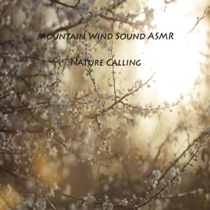 Album Mountain Wind Sound ASMR oleh Nature Calling
