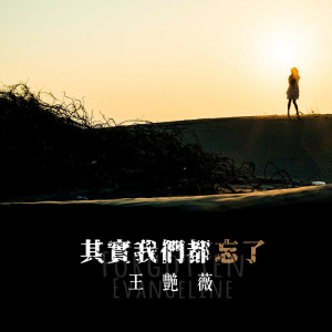 收聽王豔薇的其實我們都忘了歌詞歌曲