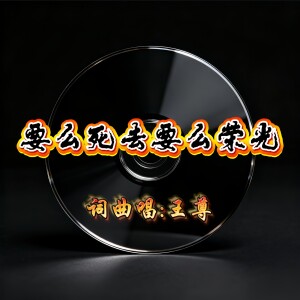 Album 要么死去要么荣光（DJ佳羽版） from 王尊