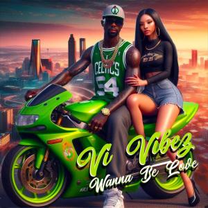 ดาวน์โหลดและฟังเพลง Wanna Be Love (Radio Edit) พร้อมเนื้อเพลงจาก VI Vibez