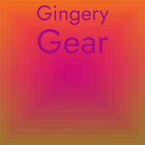 Album Gingery Gear from Various
