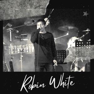 收聽Robin White的USTED ES DEMASIADO LINDA歌詞歌曲