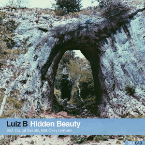Luiz B的专辑Hidden Beauty