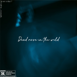 Album Dead Rose in the wild (Explicit) from 