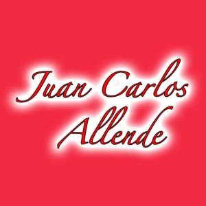 ดาวน์โหลดและฟังเพลง Shape พร้อมเนื้อเพลงจาก Juan Carlos Allende