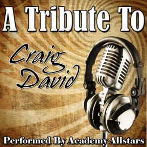 อัลบัม A Tribute to Craig David ศิลปิน Academy Allstars