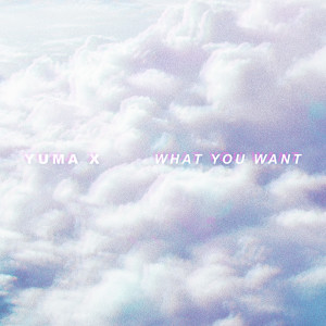 ดาวน์โหลดและฟังเพลง What You Want พร้อมเนื้อเพลงจาก Yuma X