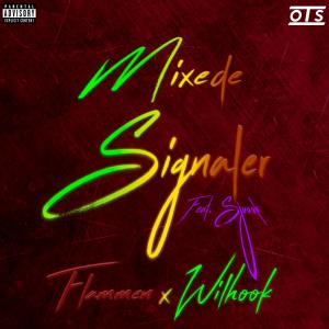 Wilhook的專輯Mixede Signaler (feat. Sjuusk) [Remix] (Explicit)