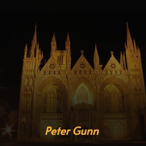 Various Artists的專輯Peter Gunn