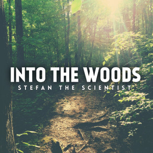 ดาวน์โหลดและฟังเพลง Into the Woods พร้อมเนื้อเพลงจาก Stefan the Scientist